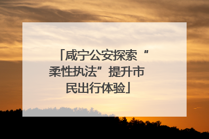 咸宁公安探索“柔性执法”提升市民出行体验